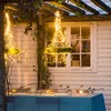 SY Holiday Outdoor Indoor LED String Lights 10M 220V 110V Christmas Xmas Wedding Party Decorations Garland Lighting