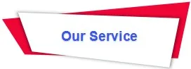Our service