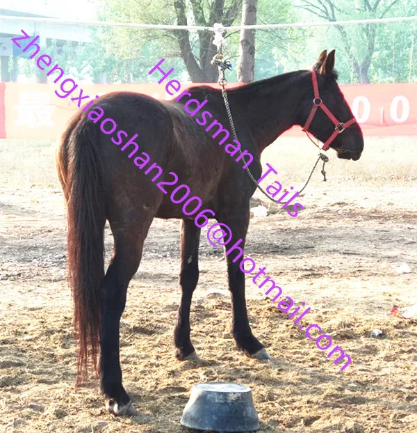 QQ20180427082125_