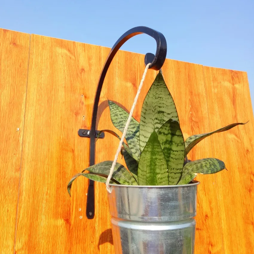 20 Inch High Quality Garden Plant Flower Wall Hanging Bracket Buy