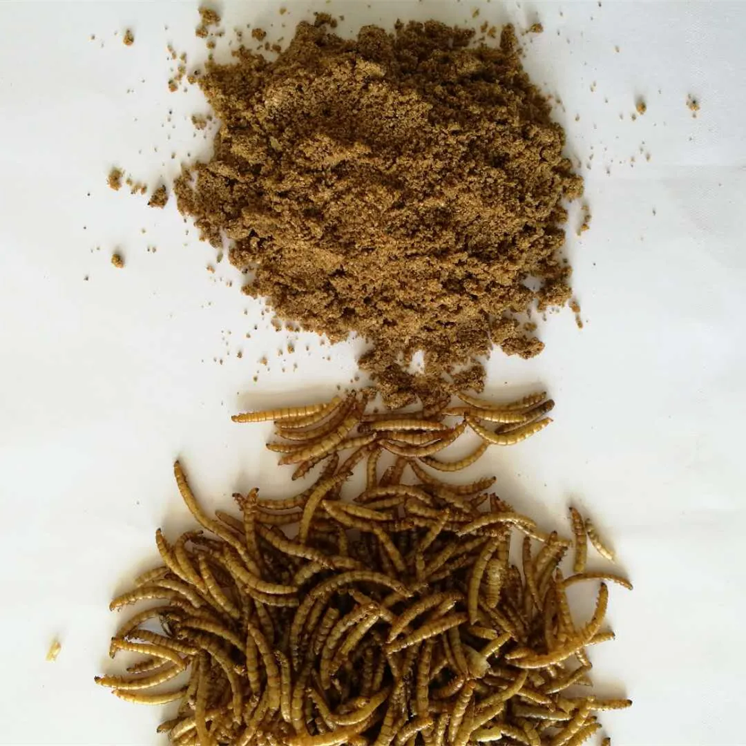 Animal Feed Dried Mealworm Powder Buy Mealworm Powder In Worm,Dried