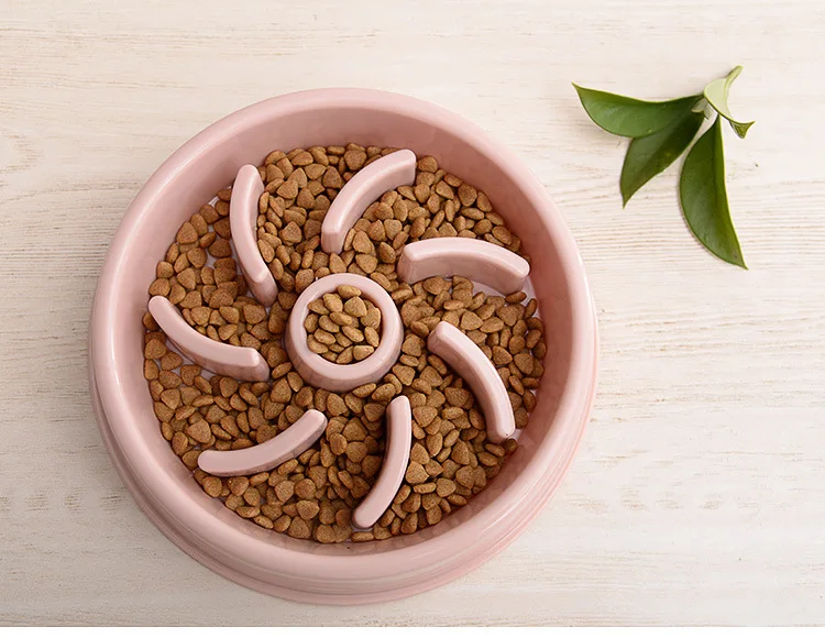 pet bowl (9).jpg