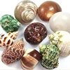 Factory Direct Sales Natural Mixed Snail Sea Shells For Hermit Crab