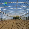Large span steel structure buildings warehouse and factory