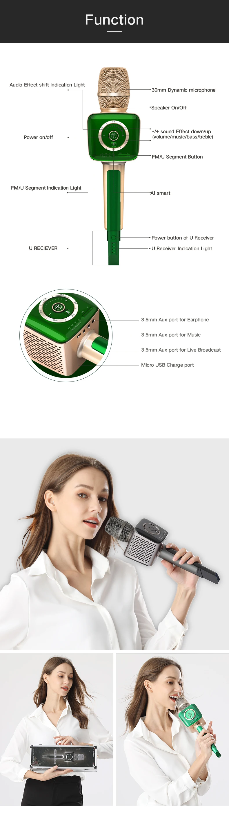 best noise cancelling microphone for car
