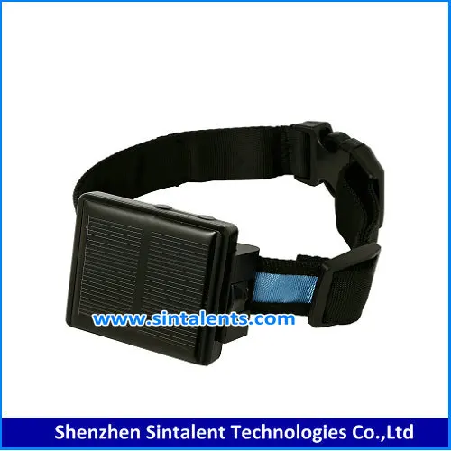 Koop laag geprijsde dutch set partijen groothandel dutch galerij