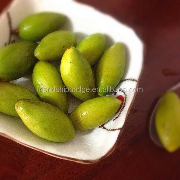 Chinese White Olive Fruit Small Tree Buy Chinese Olive Tree,Olive