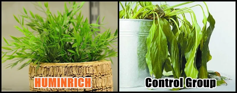 Copper Foliar Fertilizer.jpg