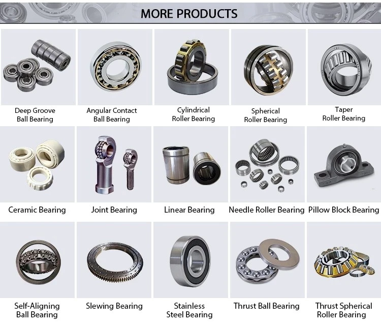 OTHER BEARINGS.jpg