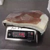 frozen giant squid wings