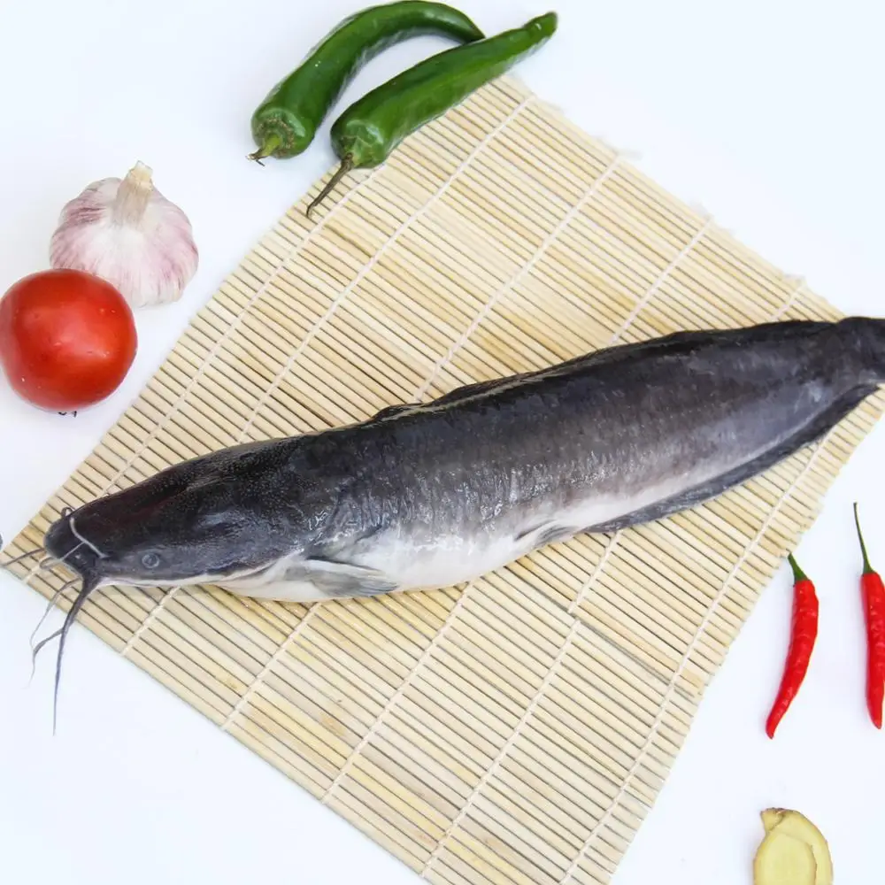 صور لمشغل الموسيقى arabic, الكثير من معارض الصور الكثير من على Alibaba