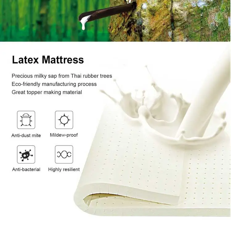 100% Organic Cotton Sleep Therapy Latex Memory Foam Mattress