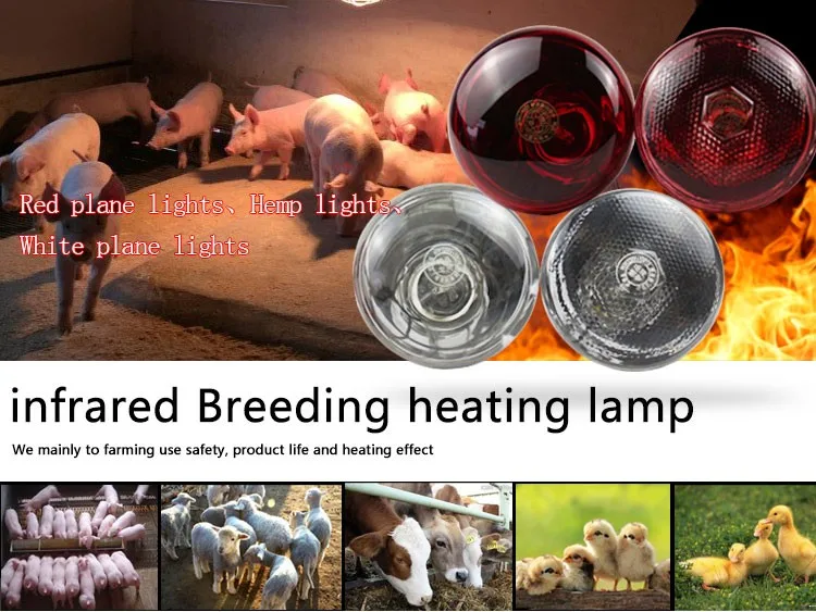 ANCLLO Infrarot-Wärmelampe 150W - Wärmequelle Für Tiere Und Geflügel