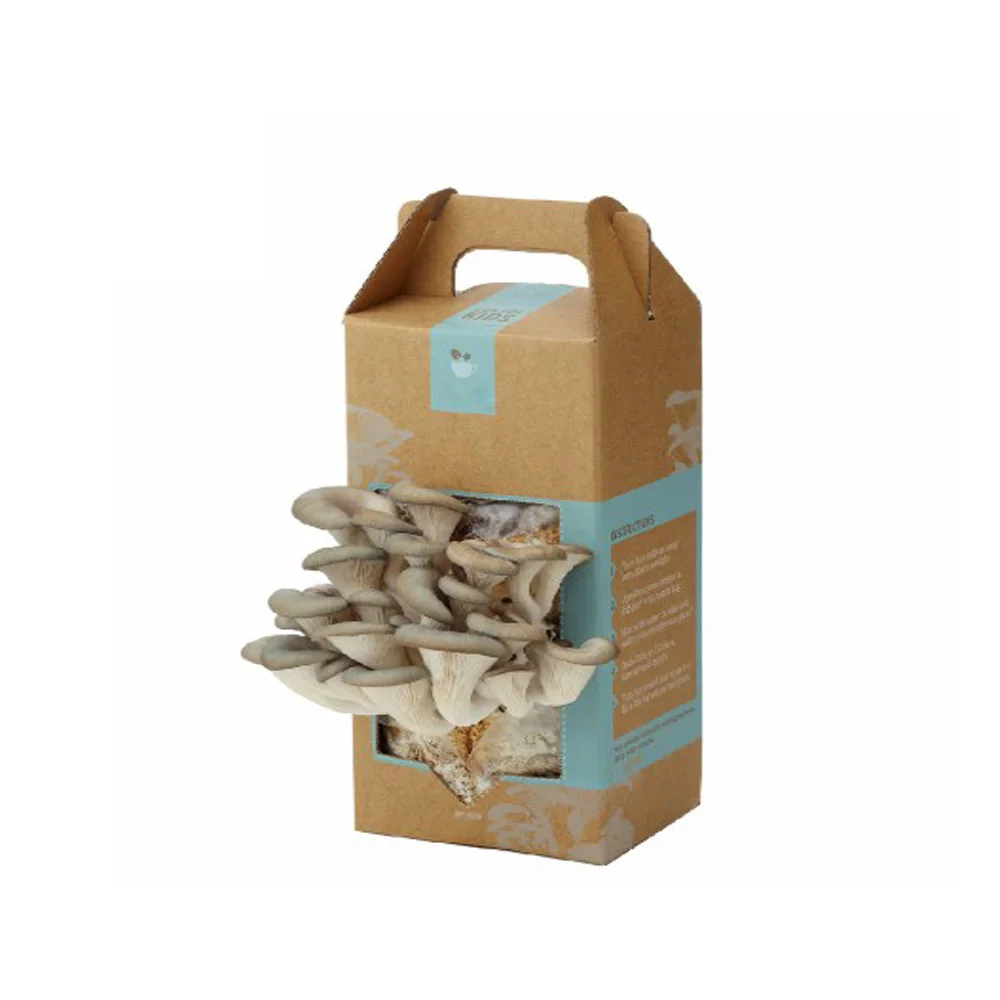 Custom Cardboard Fresh Mushroom Packaging Packing Boxes Paper