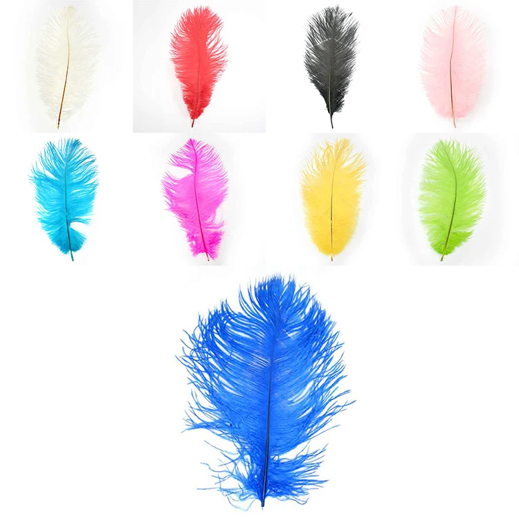 ostrich feather 25-30cm 5.jpg