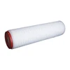 0.1 micron water filtration PES Final Membrane Filter for Microbial Reduction