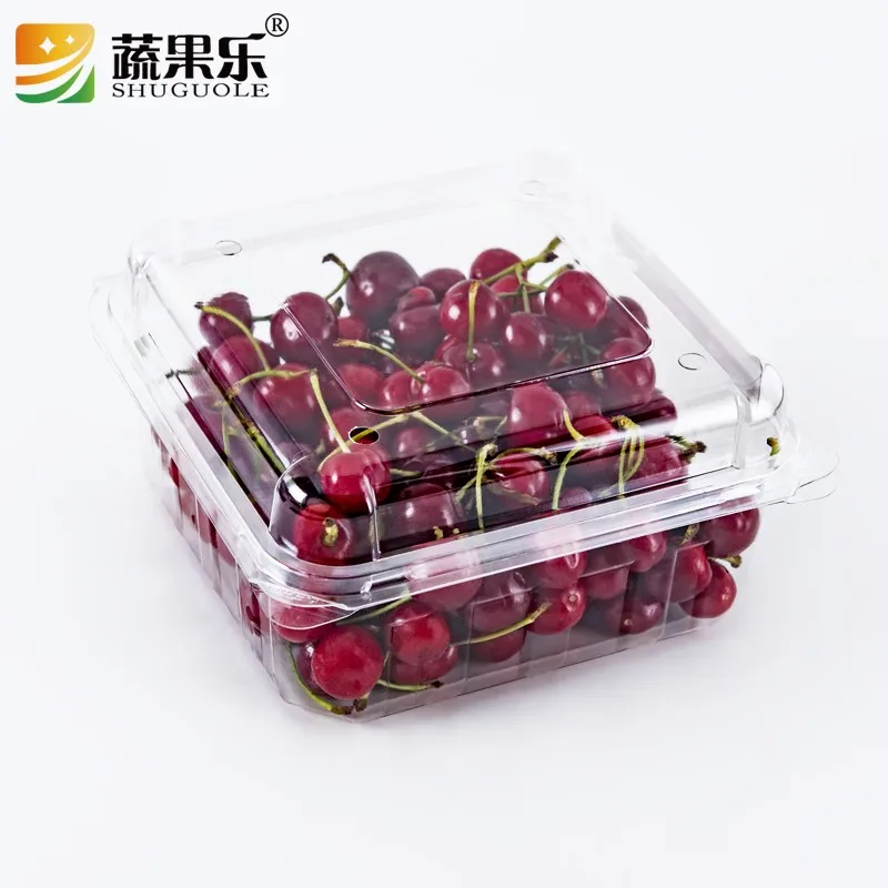 Square Clamshell Fresh Fruit Clear PET Box Packaging Container ...