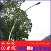 8m self curved street light pole decorative lamp post