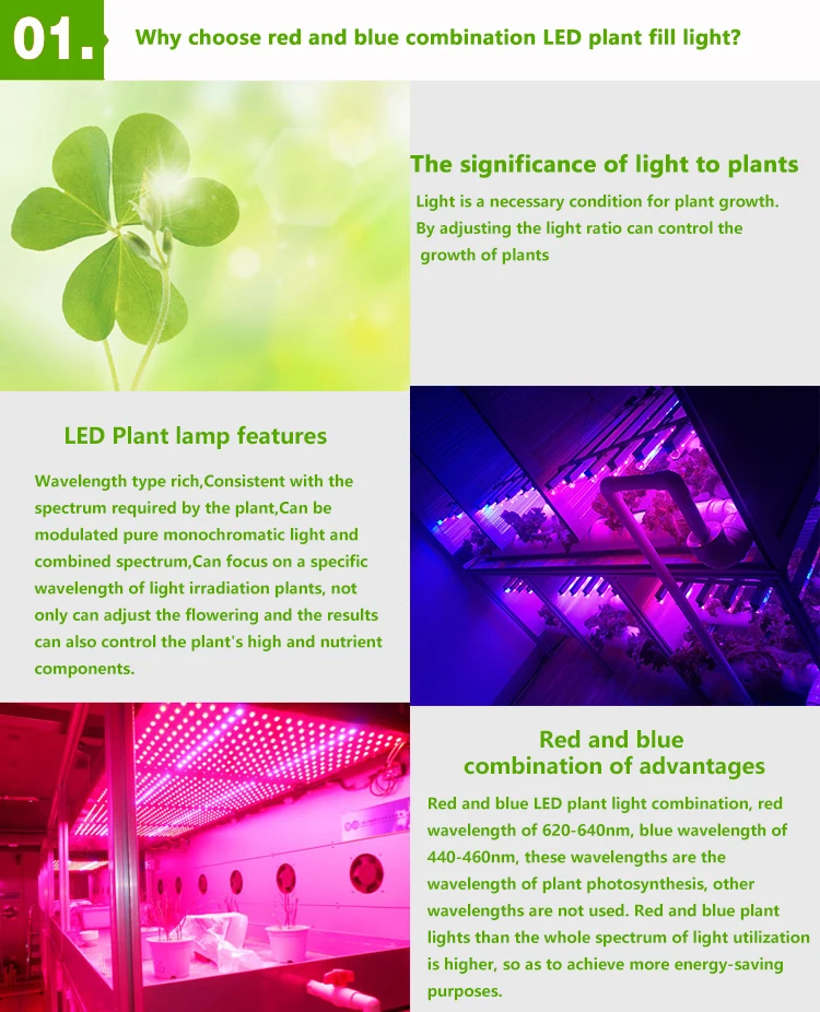 led strip grow light (13).jpg