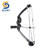 Exported to Worldwide china archery compound bow