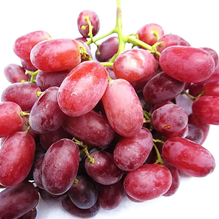 成熟品种无核葡萄水果价格