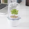 baby first christmas ornaments pots for plants