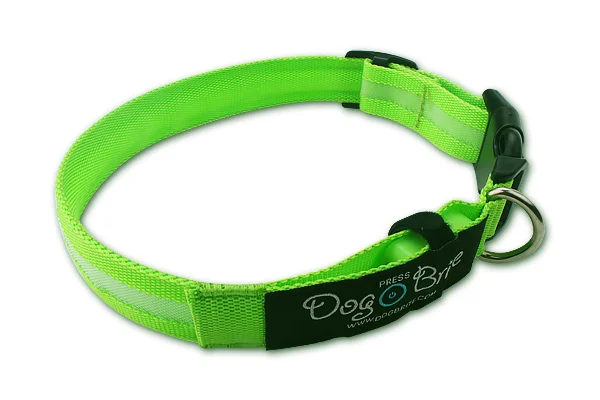 Adjustable Pet Dog Cat Waterproof LED Light Flash Night Safety Collar - ANKUX.COM