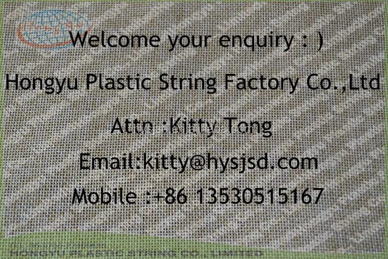 kitty tong .jpg