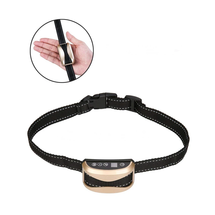 planetico dog collar