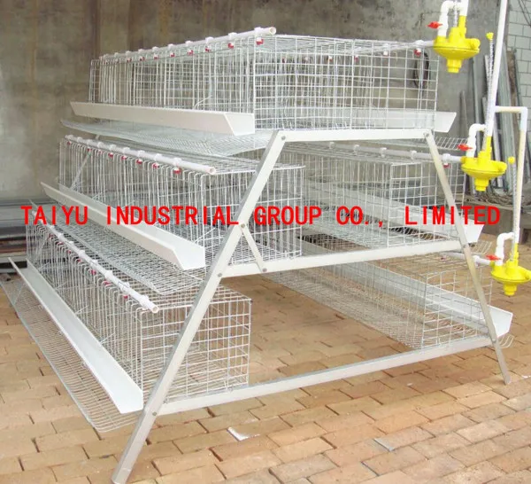 Layer Egg Chicken Cage/poultry Farm House Design - Buy 