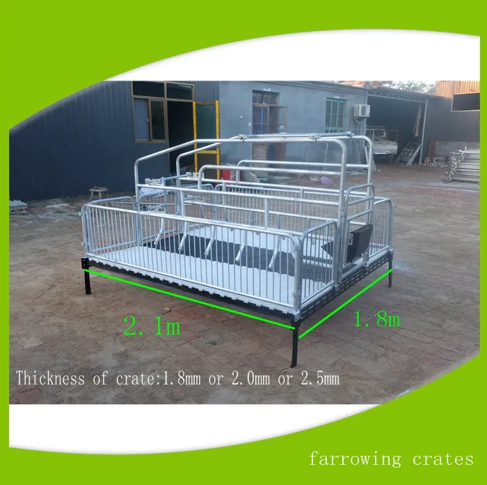 single farrowing crate 005.jpg