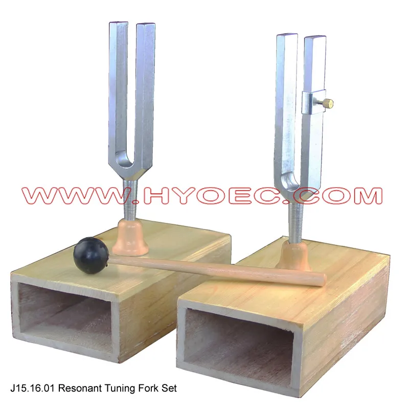 physics behind tuning fork test