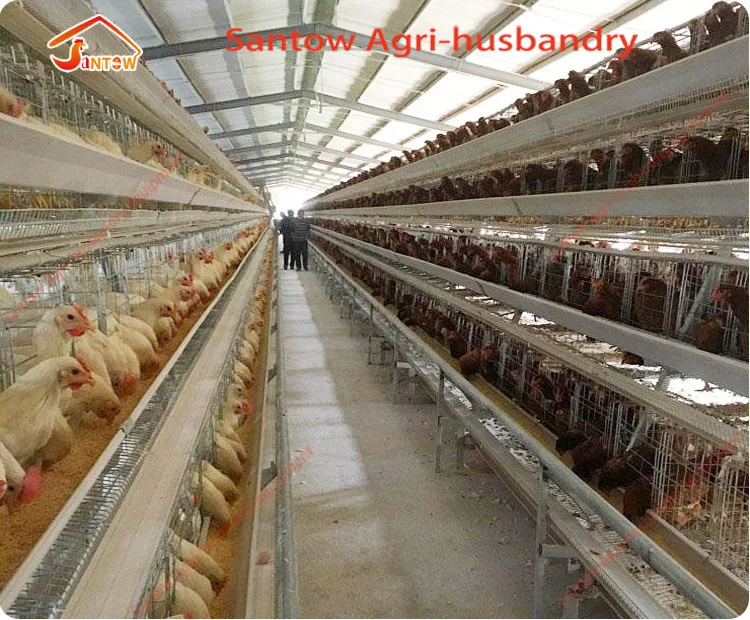 Full Galvanized Chicken Layer Cage High Quality Cheap Price Used