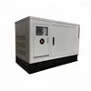 EAPP 10KW 15KW 20KW Small Biogas Generator Silent Type CE Certified