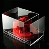 Hot Sale Customized Clear Acrylic Sneaker Shoe Storage Box with Drawer