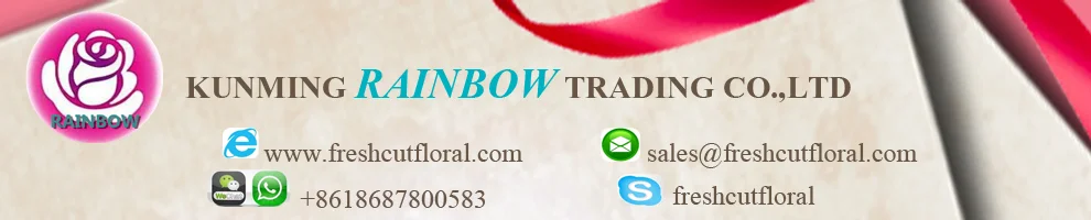 preserved flowers.png