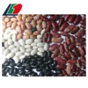 Bright White Beans Price, Large White Kidney Beans, Bright White Beans