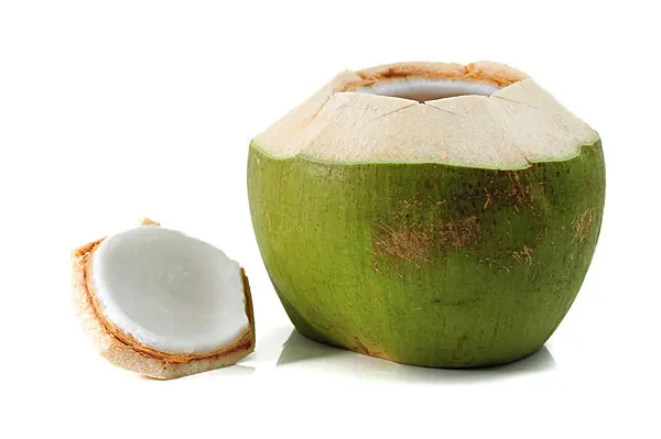 Fresh Young Coconuts Buy Fresh Young Coconutsfresh Coconuts For Saleyoung Green Coconuts 5167