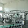 Candied fruit shop production line candied fruit processing machine