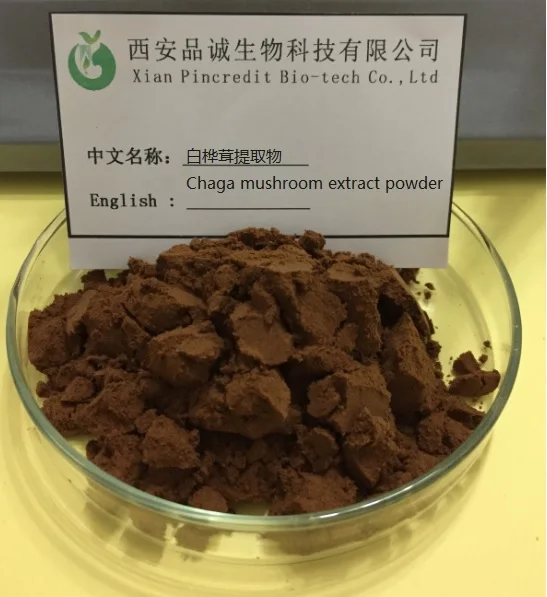 e/chaga tea/chaga coffee supplier