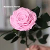 Big Size Pink Preserved Rose Flower With Long Stem Wholesale from Kunming China