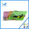 Picture printed hotsell pp plastic document file folder