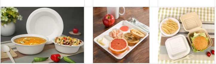 bagasse products.png