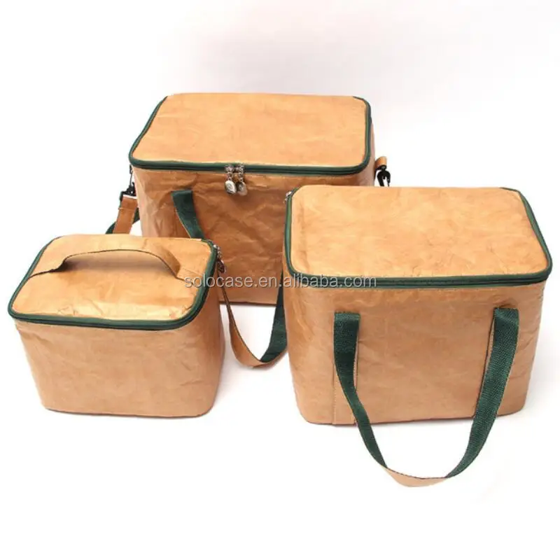 Tyvek Paper Lunch Cooler Bag