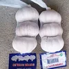 4cm pure white fresh garlic price/1kg mesh bags for garlic