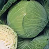 Fresh Cabbage Good Quality from China