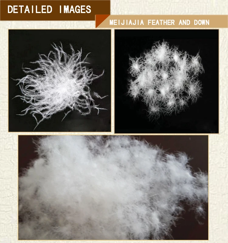 Detaileddown 750x800-1