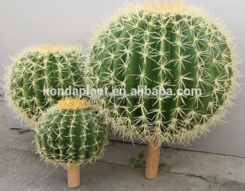 Artificial Outdoor Cactus Plants: Adding a Touch of Desert Charm to Your Garden