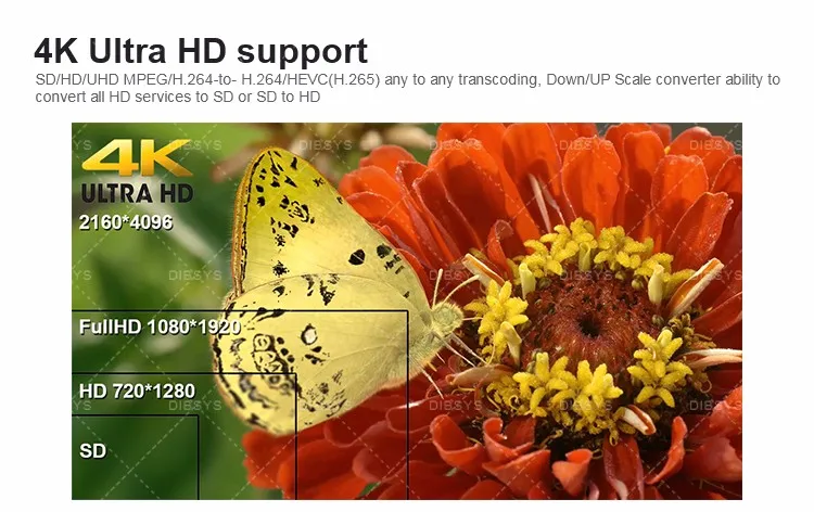 ffmpeg h264 input hls output ffmpeg h264 input hls output