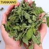 Wholesale Dried Spices Herbs Dried Peppermint Mint Leaf Cut Herbs